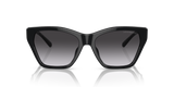 Shiny Black