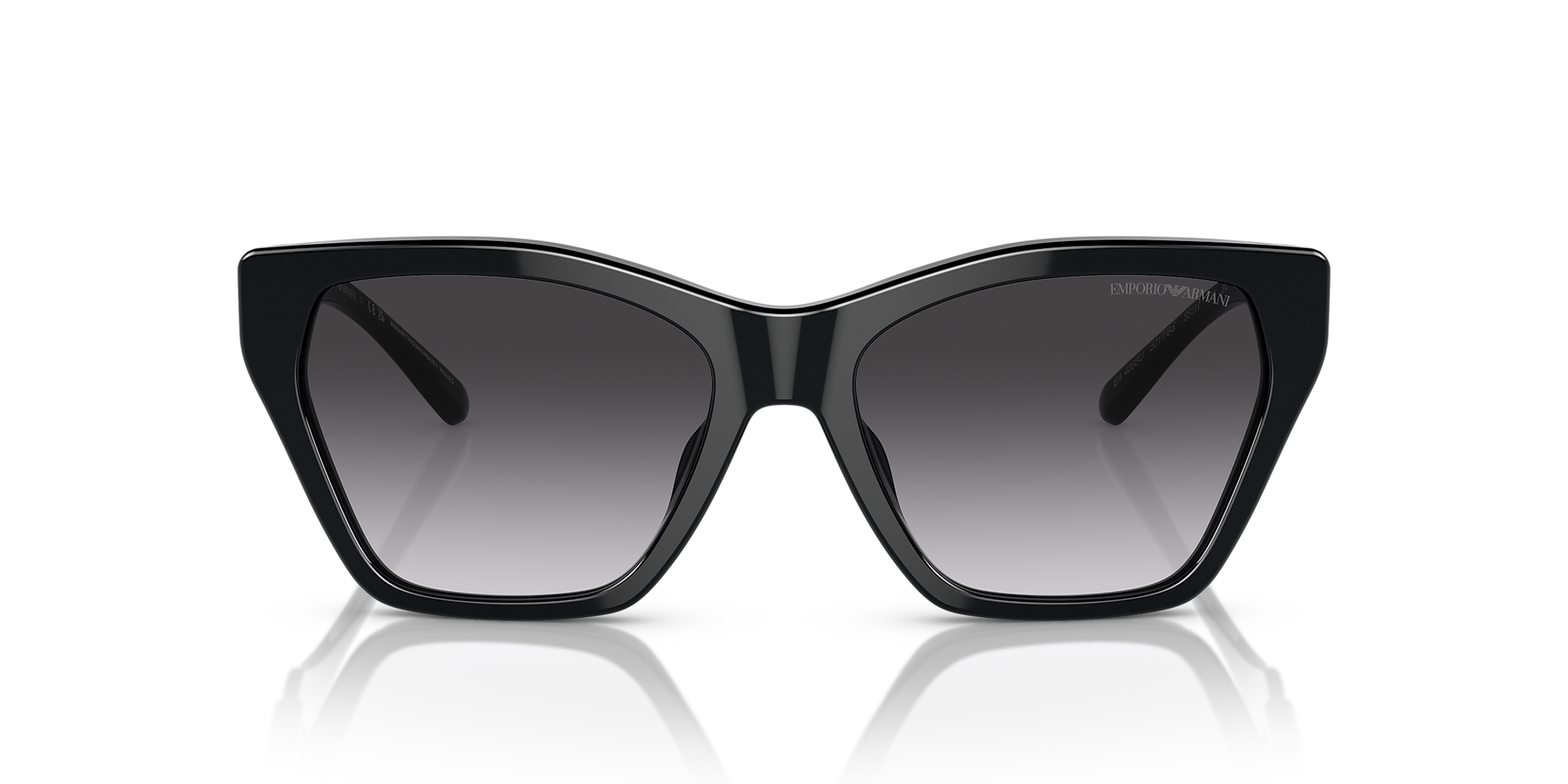 Shiny Black