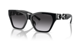 Shiny Black
