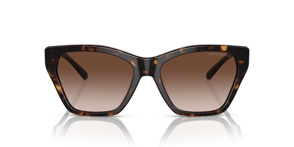 Shiny Havana