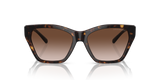 Shiny Havana