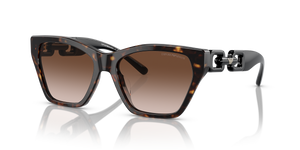 Shiny Havana - Gradient Brown