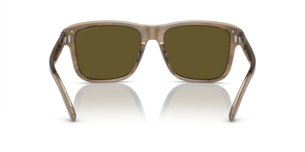 Shiny Green/Top Brown