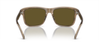 Shiny Green/Top Brown