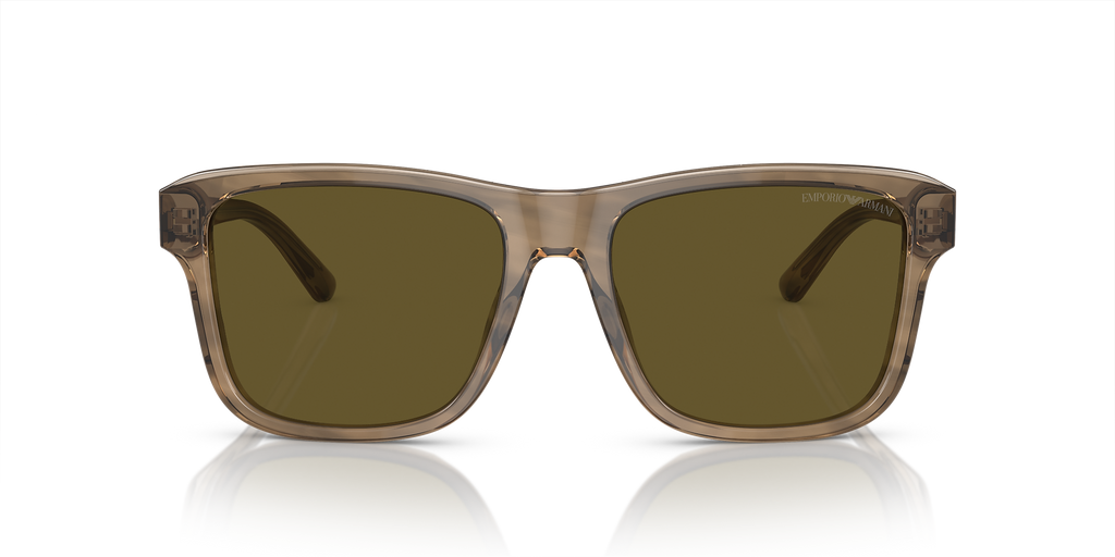 Shiny Green/Top Brown
