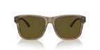 Shiny Green/Top Brown