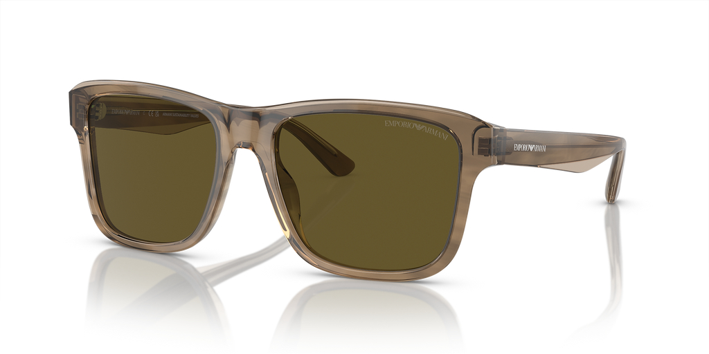 Shiny Green/Top Brown