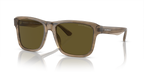 Shiny Green/Top Brown