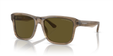 Shiny Green/Top Brown