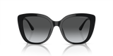 Shiny Black