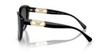 Shiny Black