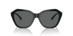 Shiny Black