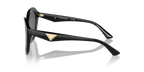 Shiny Black