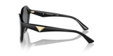 Shiny Black