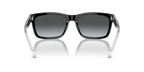 Shiny Black