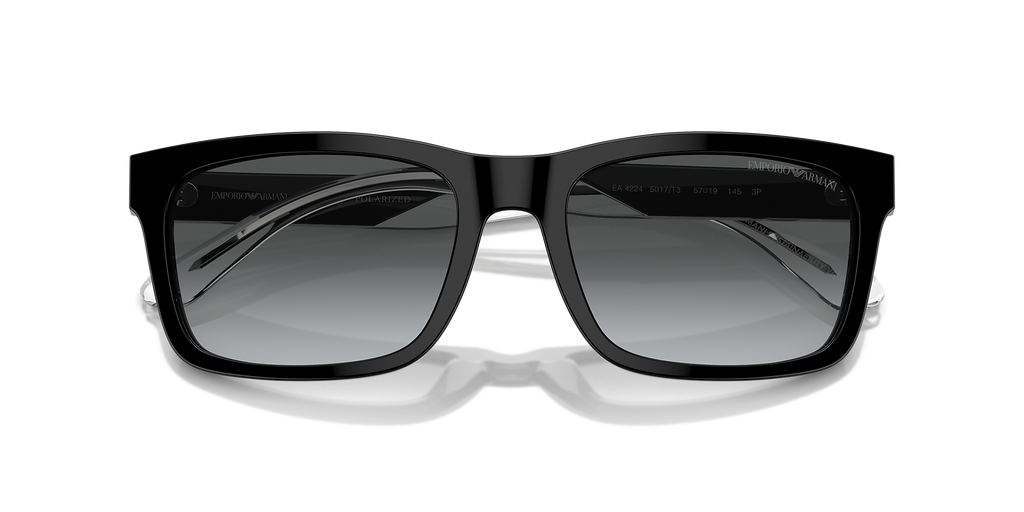 Shiny Black
