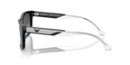Shiny Black