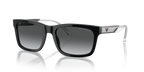 Shiny Black