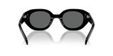 Shiny Black