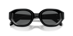 Shiny Black