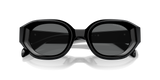 Shiny Black