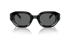 Shiny Black