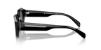Shiny Black