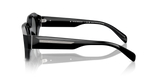 Shiny Black