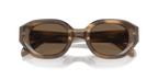 Shiny Striped Brown