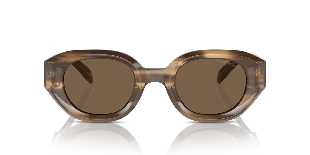 Shiny Striped Brown