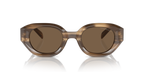 Shiny Striped Brown