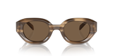 Shiny Striped Brown