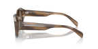 Shiny Striped Brown