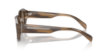 Shiny Striped Brown