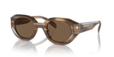 Shiny Striped Brown