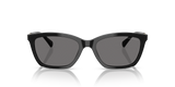 Shiny Black
