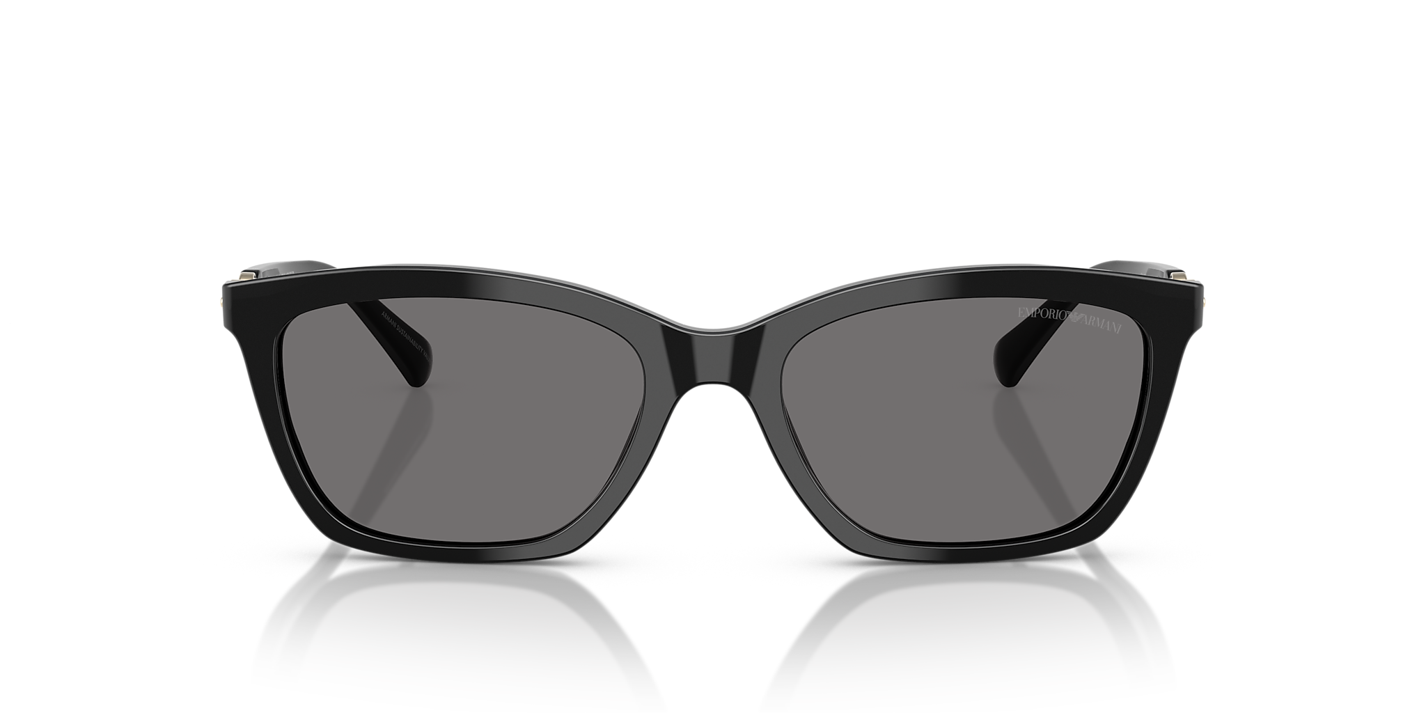 Shiny Black