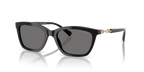 Shiny Black