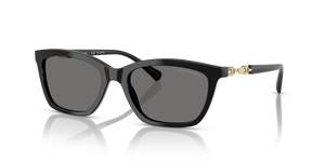 Shiny Black - Dark Grey Polar