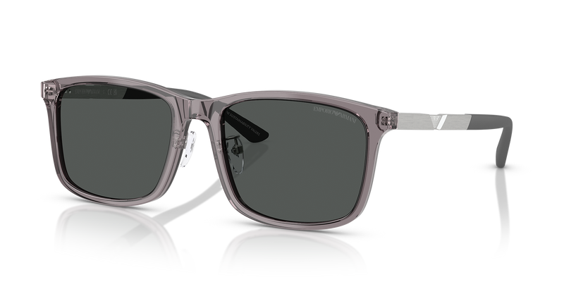 Shiny Transparent Grey