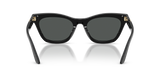 Shiny Black