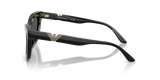 Shiny Black
