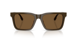 Shiny Brown