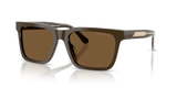 Shiny Brown