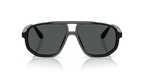 Shiny Black