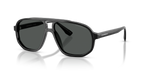 Shiny Black
