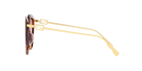 Tortoise