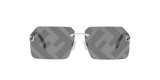 Grey Shiny