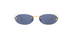 Gold Shiny