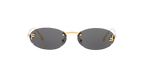 Gold Shiny